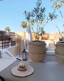 Journey to Morocco | Water Tiger