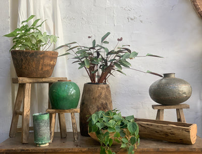 Usher in Spring with vintage planters and pots for indoor and outdoor plants