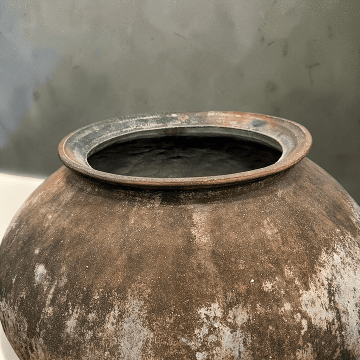 Water Tiger pot Terracotta Vintage Water Pot from Borneo