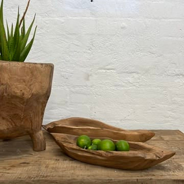 Water Tiger indonesia Hand Carved Narrow Organic Bowls
