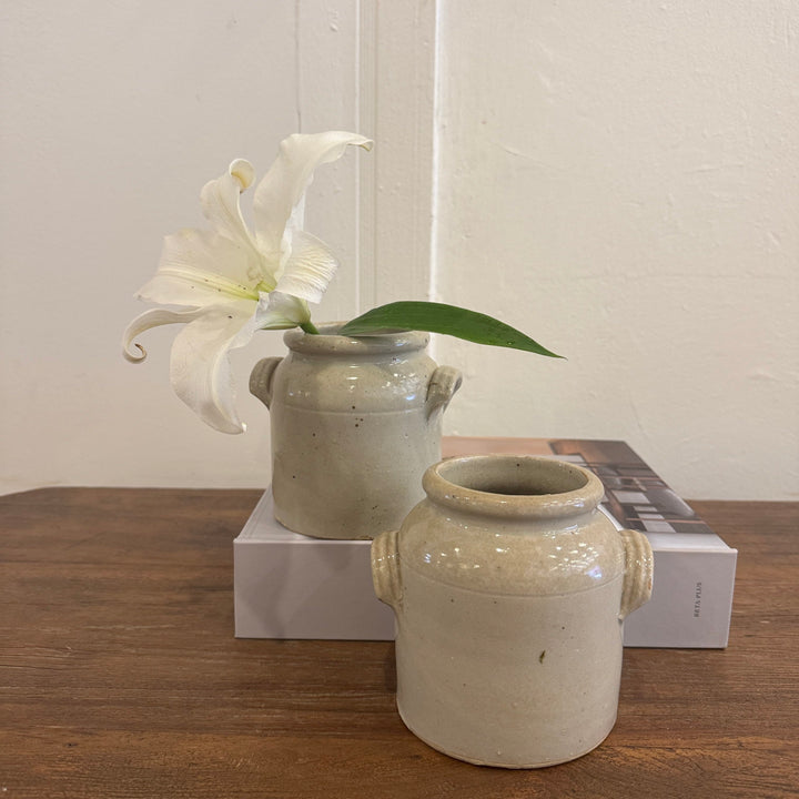 Water Tiger lamp Mustard Pots