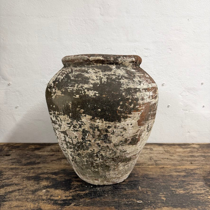 Water Tiger Decor Indonesian Aged Terracotta Pots