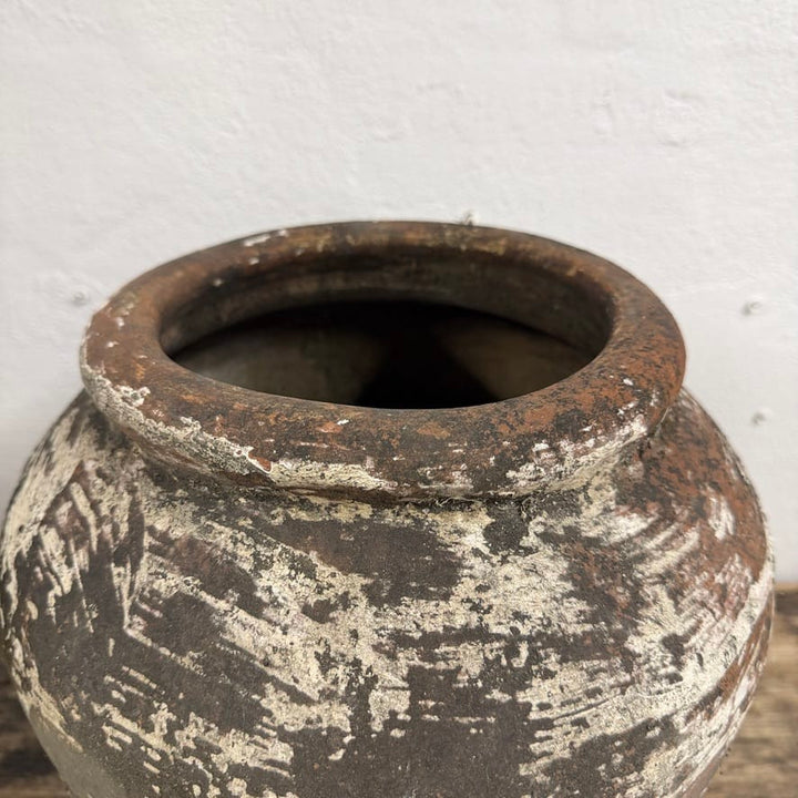 Water Tiger Decor Indonesian Aged Terracotta Pots