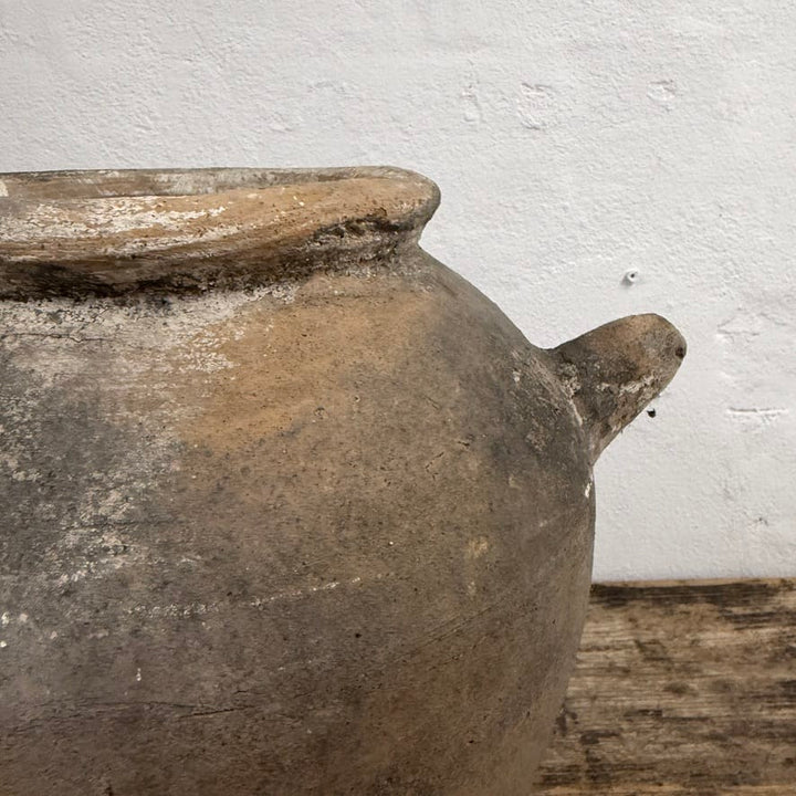 Water Tiger Decor Indonesian Aged Terracotta Pots