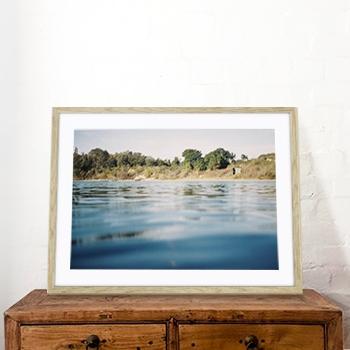 Agave Bondi art Limited edition local photographer framed prints 99x75cm