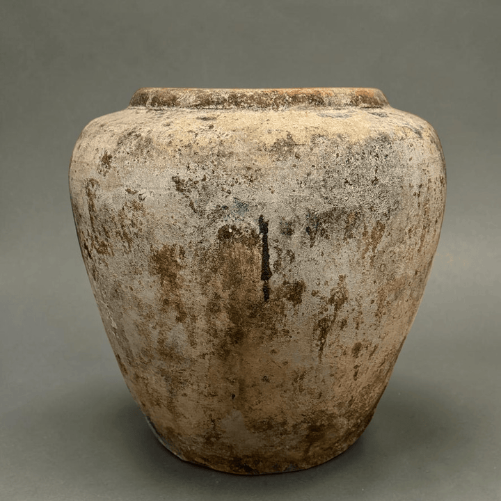 Water Tiger pot Aged Terracotta Vintage Water Pot from Borneo