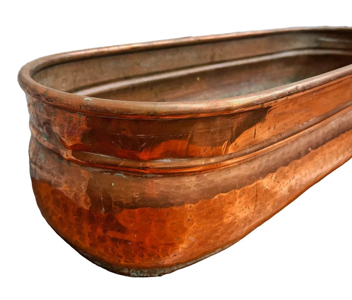 Water Tiger France Antique French Copper Poissonnière Fish Poacher, 19th Century