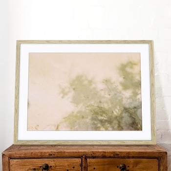 Agave Bondi art Limited edition local photographer framed prints 99x75cm