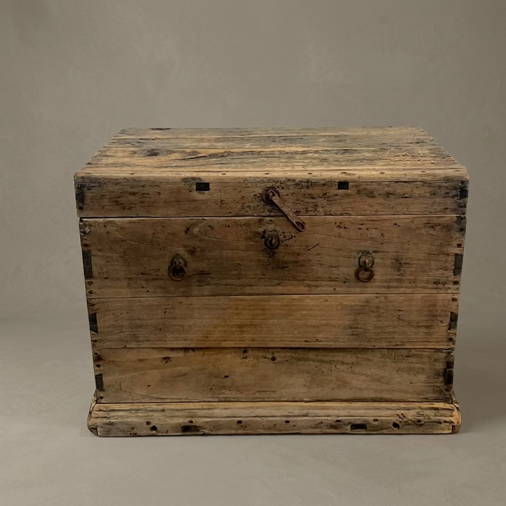Water Tiger Decor 19C Wooden Storage Box From China