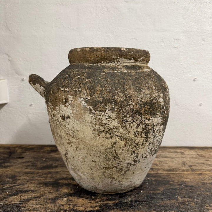 Water Tiger Decor Indonesian Aged Terracotta Pots