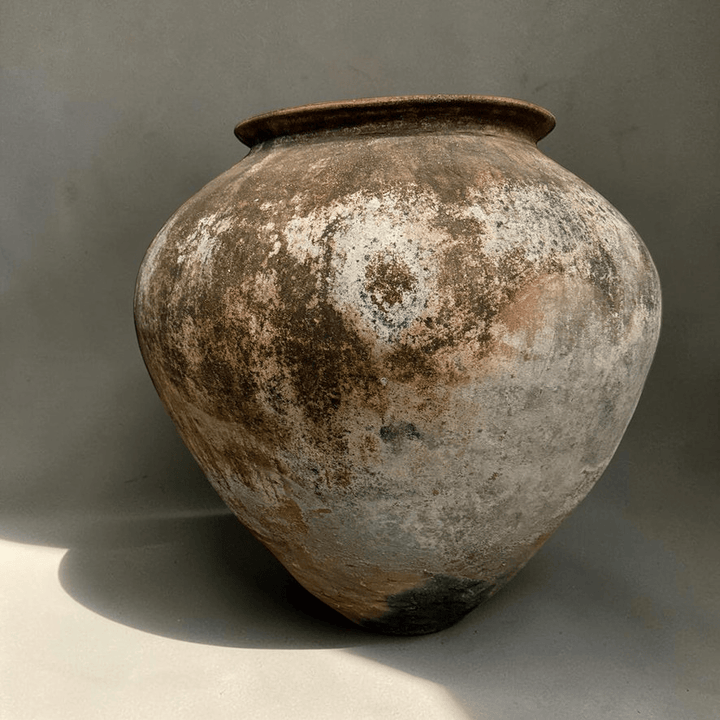 Water Tiger pot Terracotta Vintage Water Pot from Borneo