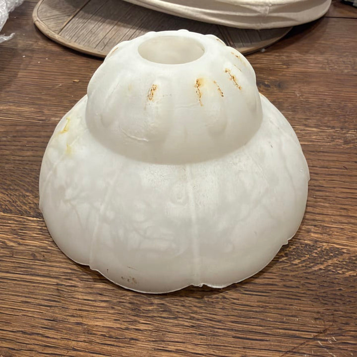 Water Tiger lamp Delicate Vintage Glass Lampshades