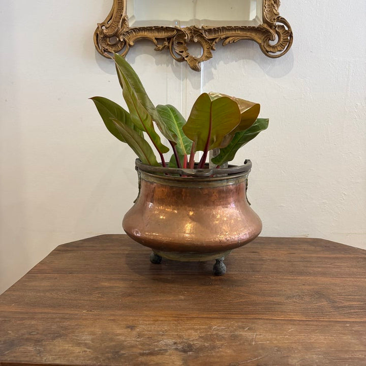 Water Tiger France Antique Copper Cauldron With A Single Brass Handle
