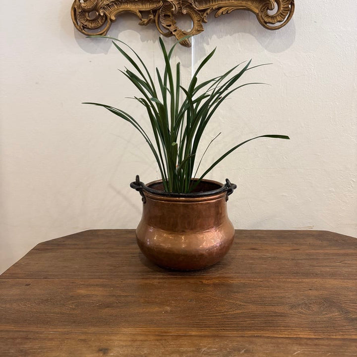 Water Tiger France Antique Copper Pot With Handles
