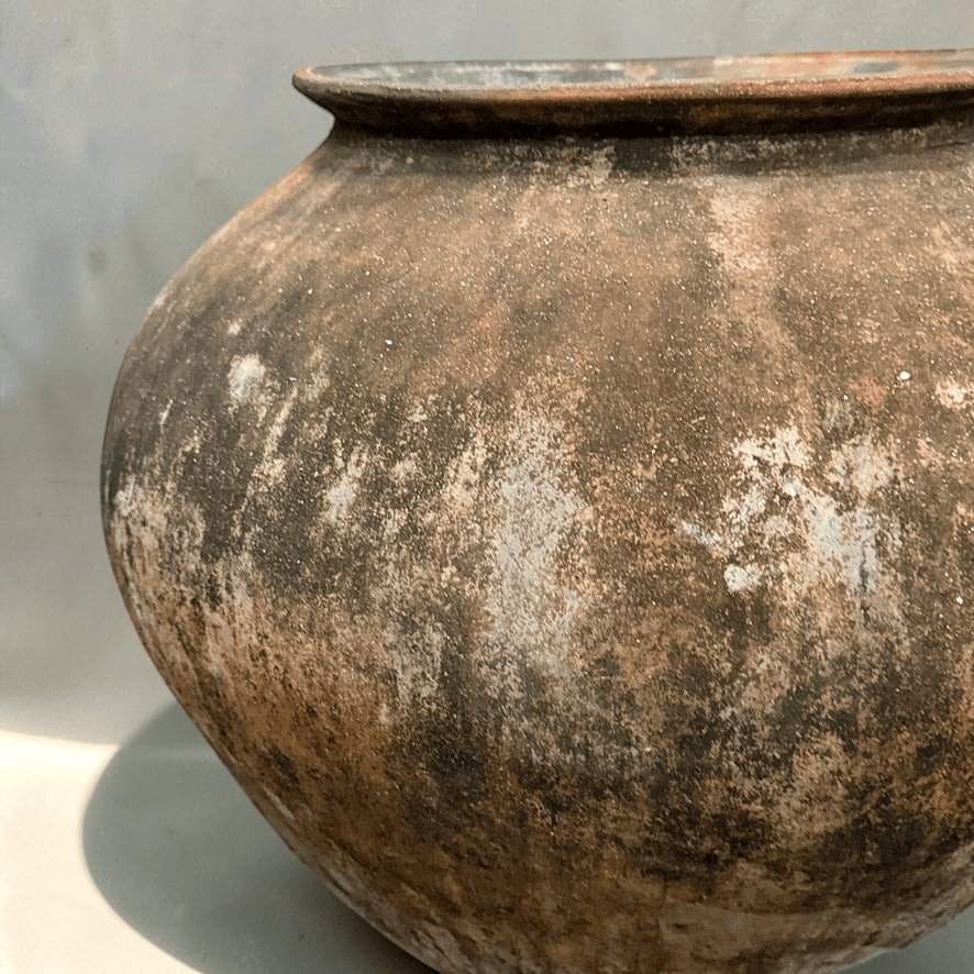 Water Tiger pot Terracotta Vintage Water Pot from Borneo