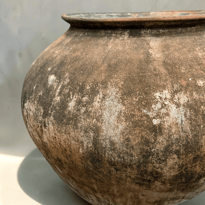 Water Tiger pot Terracotta Vintage Water Pot from Borneo
