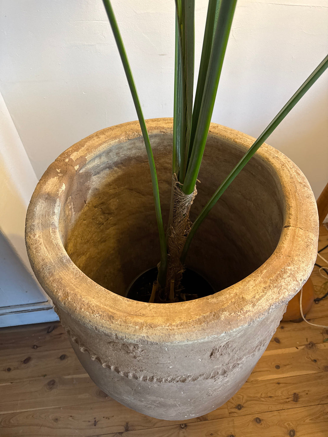 Water Tiger pot Antique Moroccan Terracotta Pots