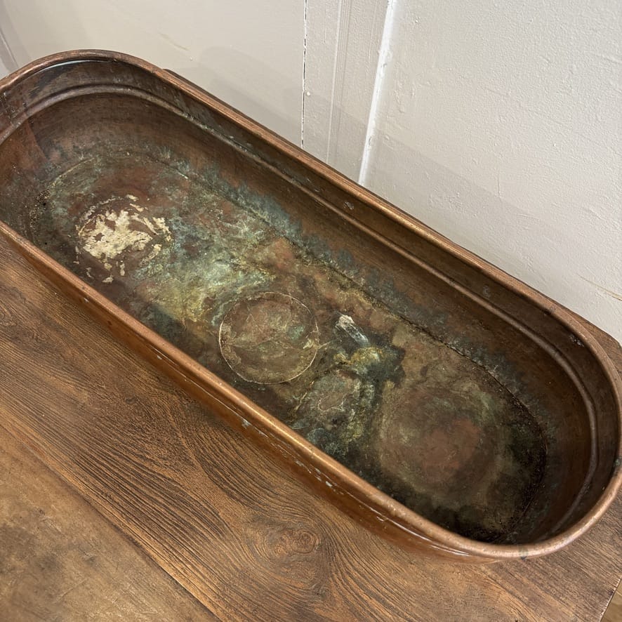 Water Tiger France Antique French Copper Poissonnière Fish Poacher, 19th Century