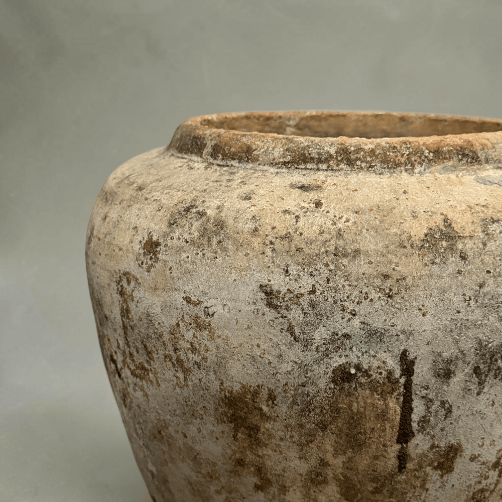 Water Tiger pot Aged Terracotta Vintage Water Pot from Borneo