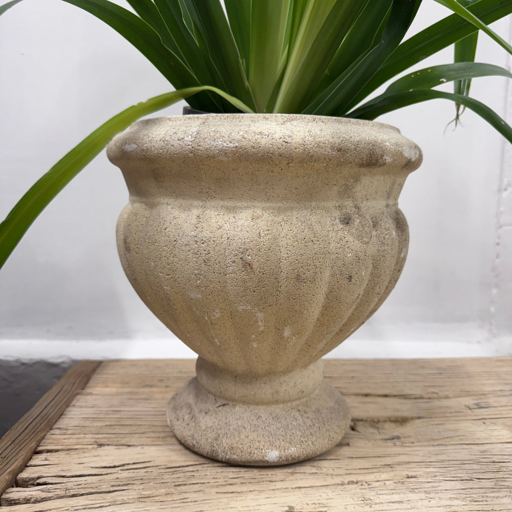 Water Tiger Furniture French White Concrete Planters - Unique Ceramic Pots | Water Tiger