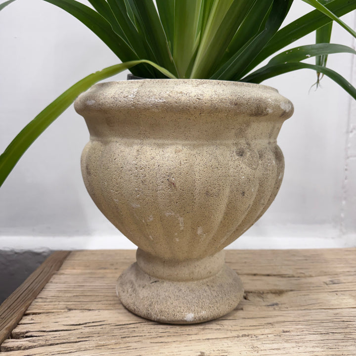 Water Tiger Furniture French White Concrete Planters - Unique Ceramic Pots | Water Tiger