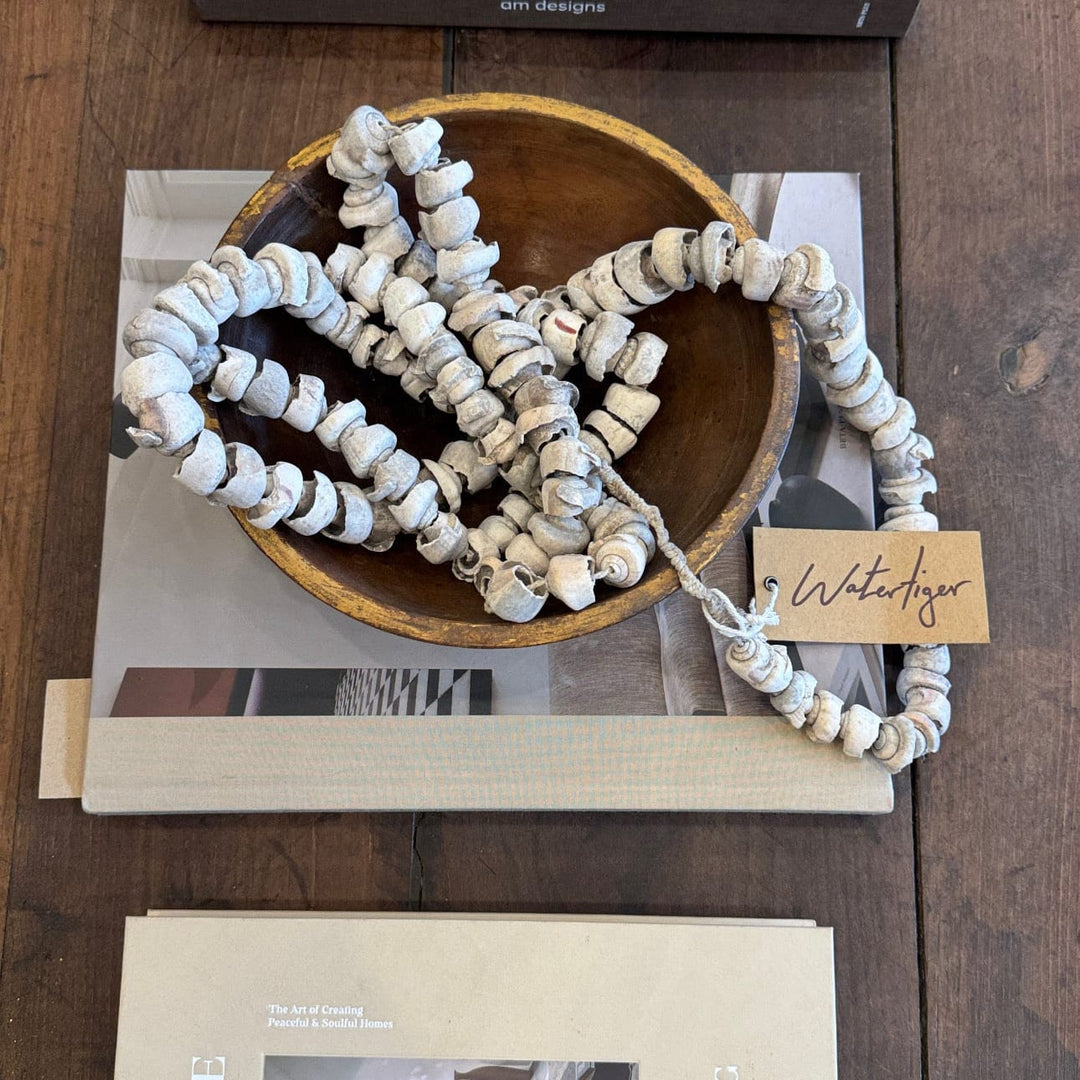 Water Tiger indonesia Vintage Gathered Shells from Sumba