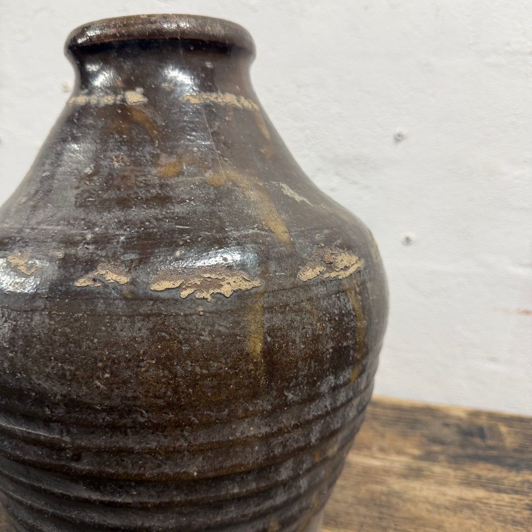 Water Tiger Decor Indonesian Aged Ceramic Pot - Just One