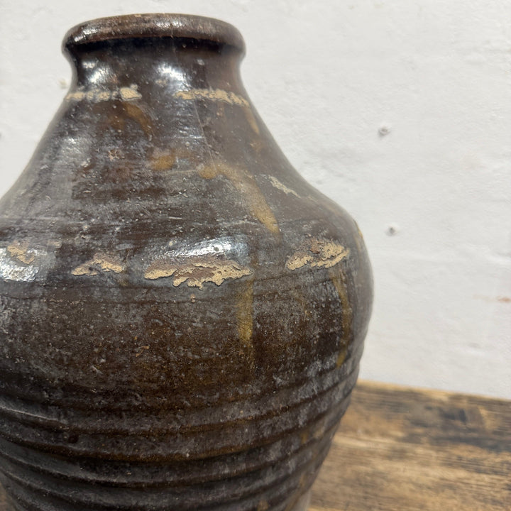 Water Tiger Decor Indonesian Aged Ceramic Pot - Just One