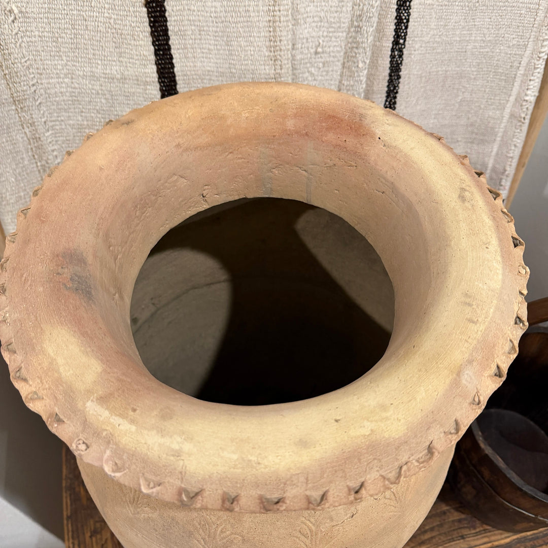 Water Tiger Decor Ancient Terracotta Pot From Xinjiang