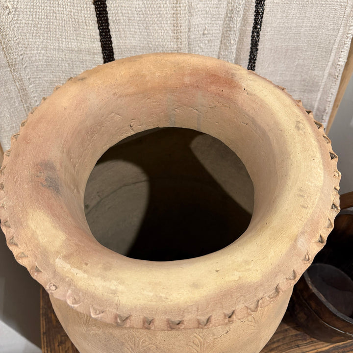 Water Tiger Decor Ancient Terracotta Pot From Xinjiang