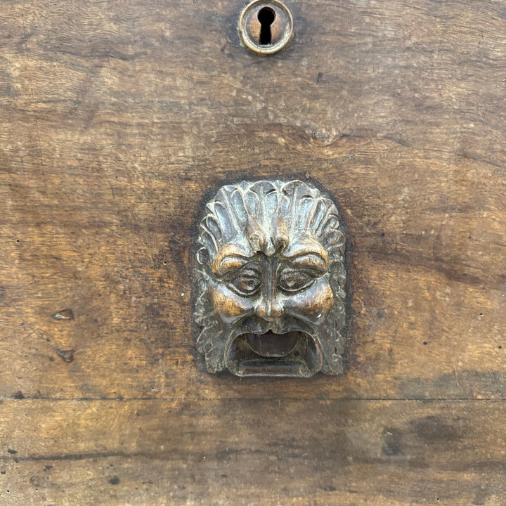 Water Tiger Furniture French Oak Early 19th Century Trunk