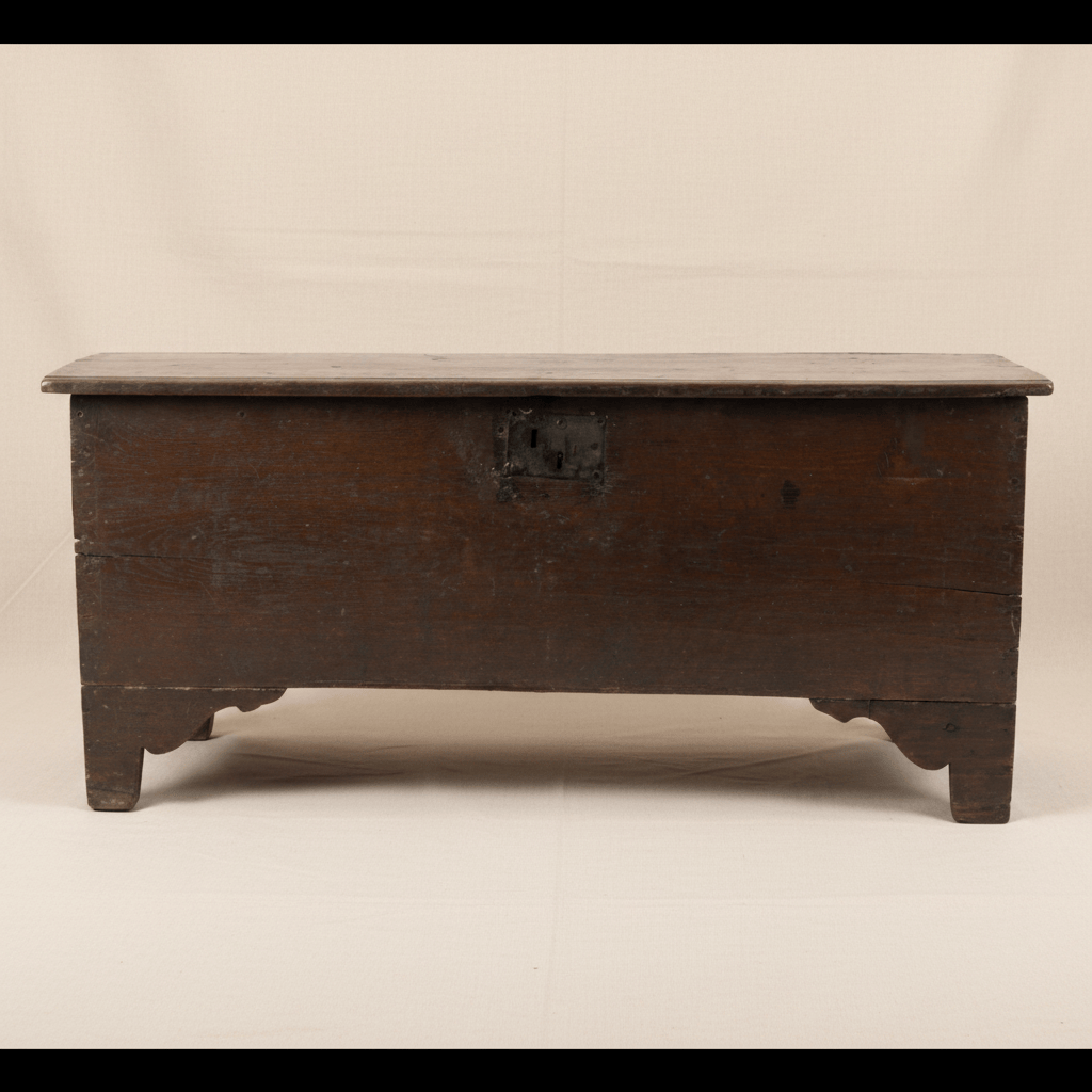 Water Tiger Furniture French Early 19th Century Plank Trunk