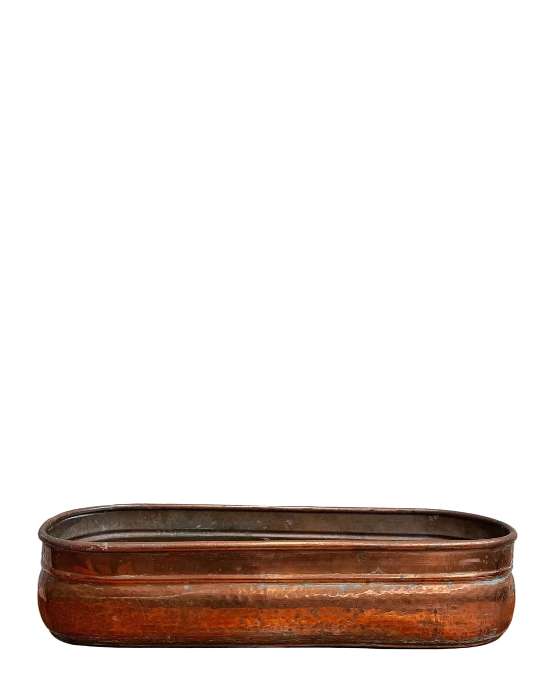 Water Tiger France Antique French Copper Poissonnière Fish Poacher, 19th Century