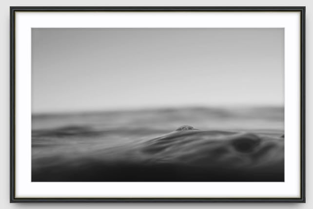 Agave Bondi art Limited edition local photographer framed prints 73x53cm