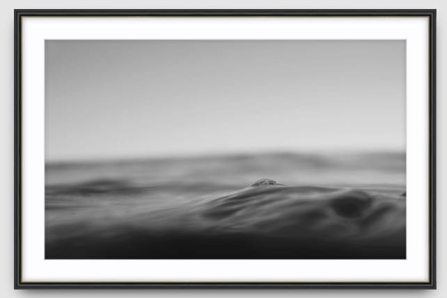 Agave Bondi art Limited edition local photographer framed prints 99x75cm