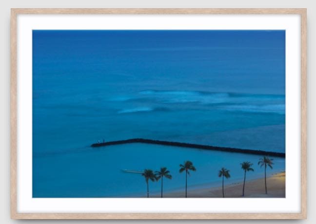 Agave Bondi art Limited edition local photographer framed prints 99x75cm