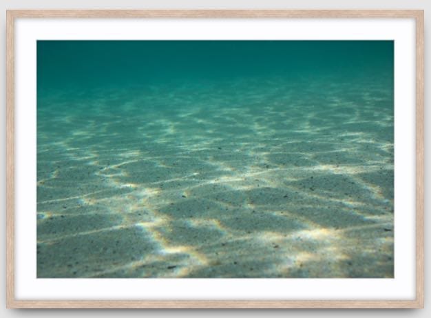 Agave Bondi art Limited edition local photographer framed prints 99x75cm