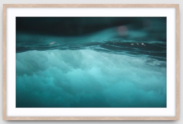 Agave Bondi art Limited edition local photographer framed prints 73x53cm