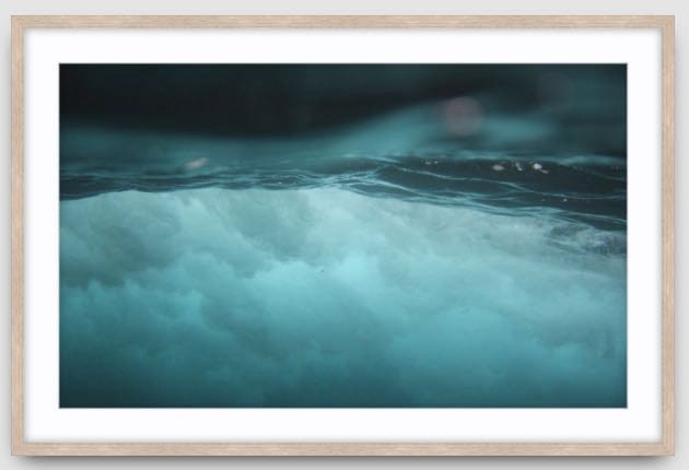 Agave Bondi art Limited edition local photographer framed prints 99x75cm