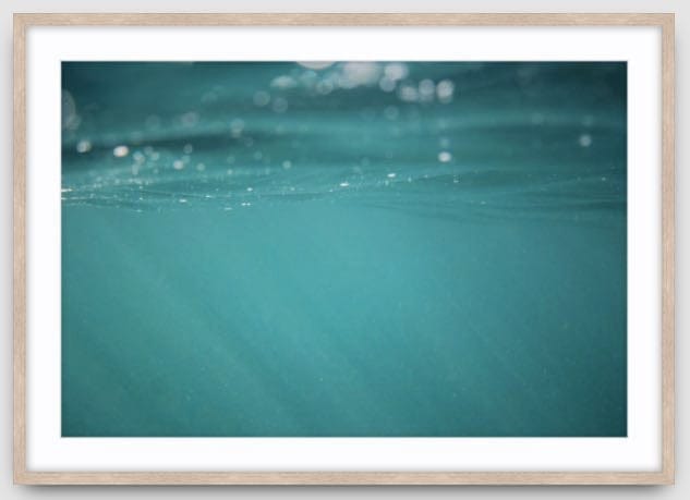 Agave Bondi art Limited edition local photographer framed prints 99x75cm