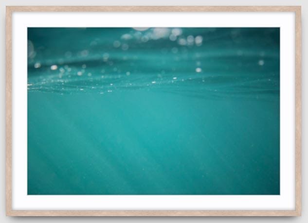 Agave Bondi art Limited edition local photographer framed prints 73x53cm