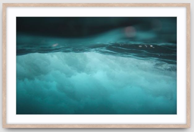 Agave Bondi art Limited edition local photographer framed prints 73x53cm