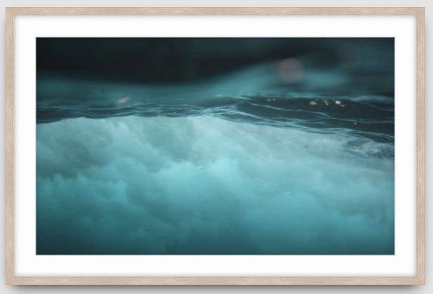 Agave Bondi art Limited edition local photographer framed prints 99x75cm