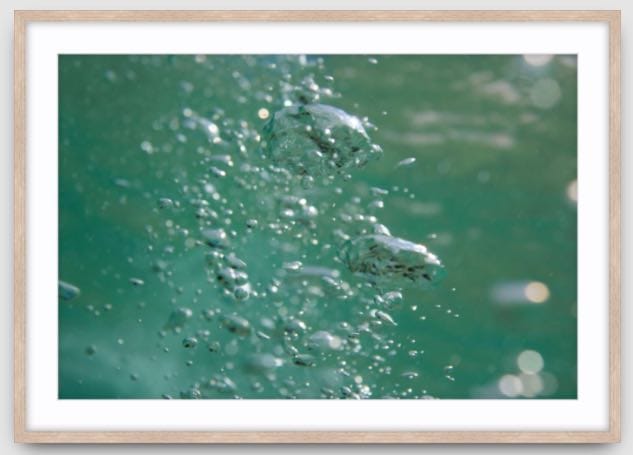 Agave Bondi art Limited edition local photographer framed prints 99x75cm