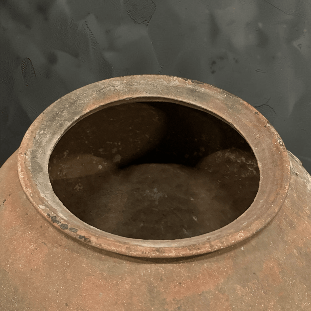 Water Tiger pot Grey Vintage Water Pots from Borneo