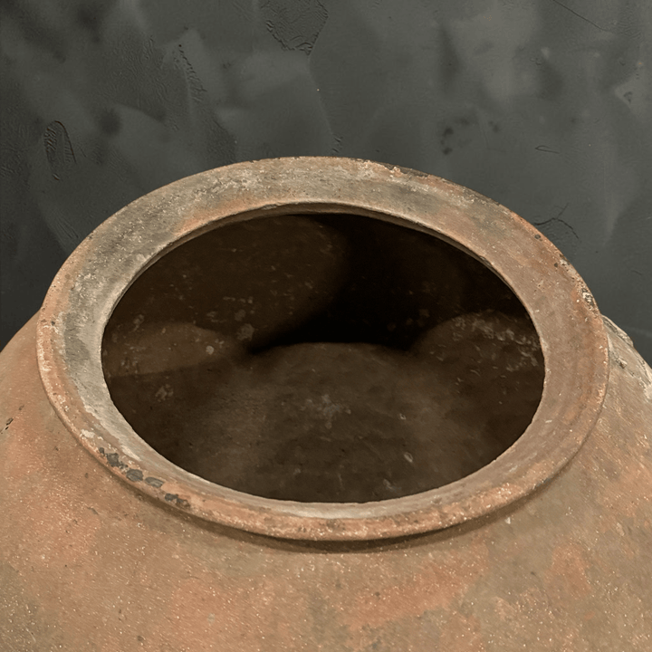 Water Tiger pot Grey Vintage Water Pots from Borneo